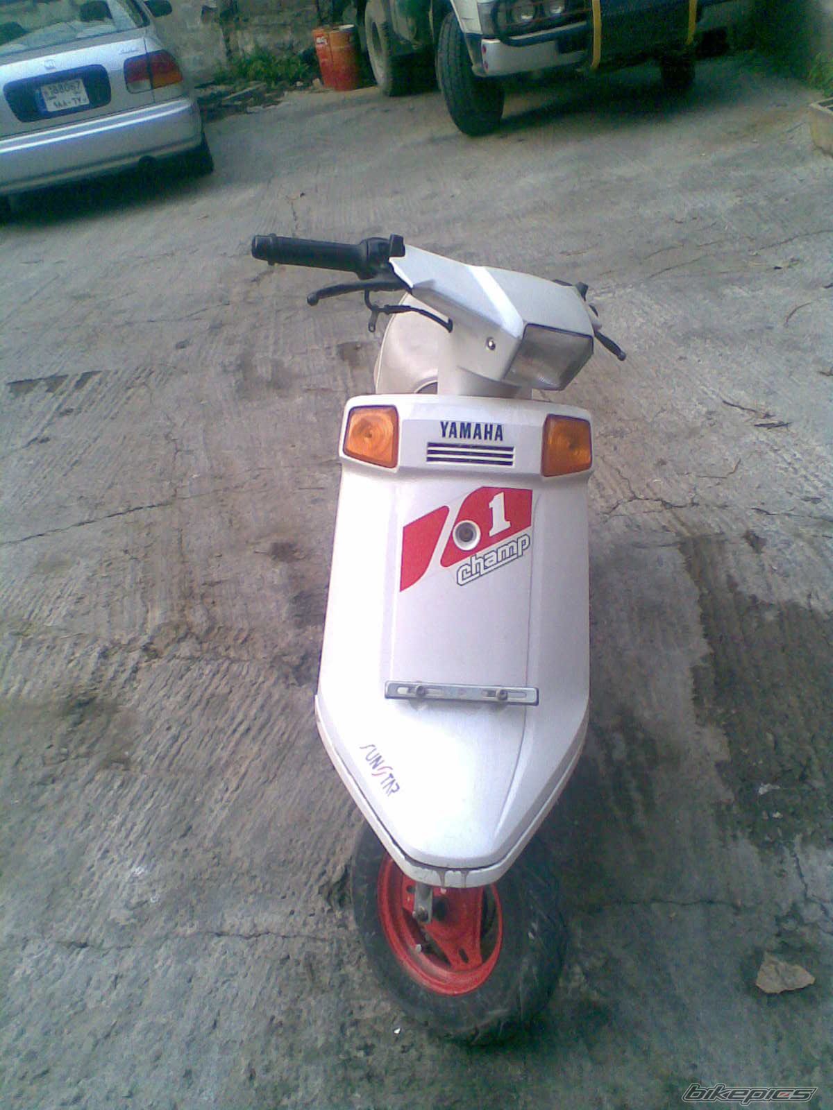 Photo 1596305