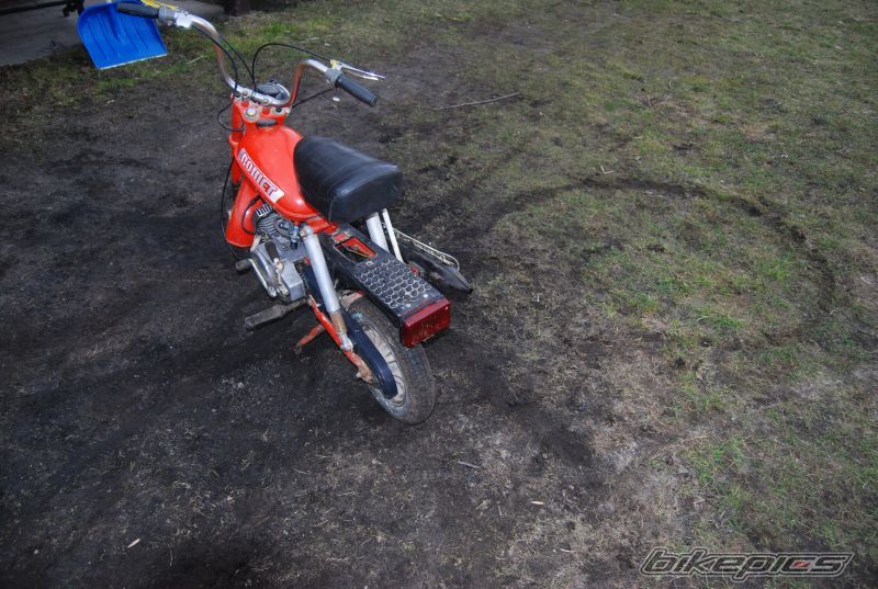 Photo 1596425