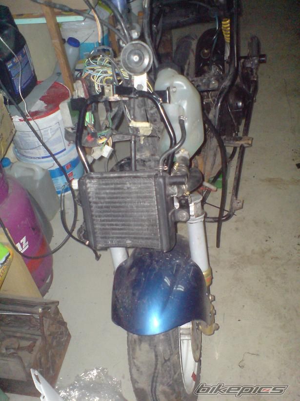 Bike Photo 1596533