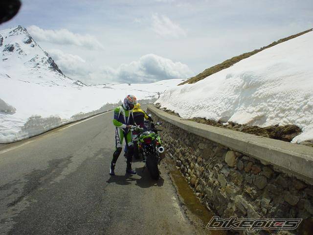 Photo 159656