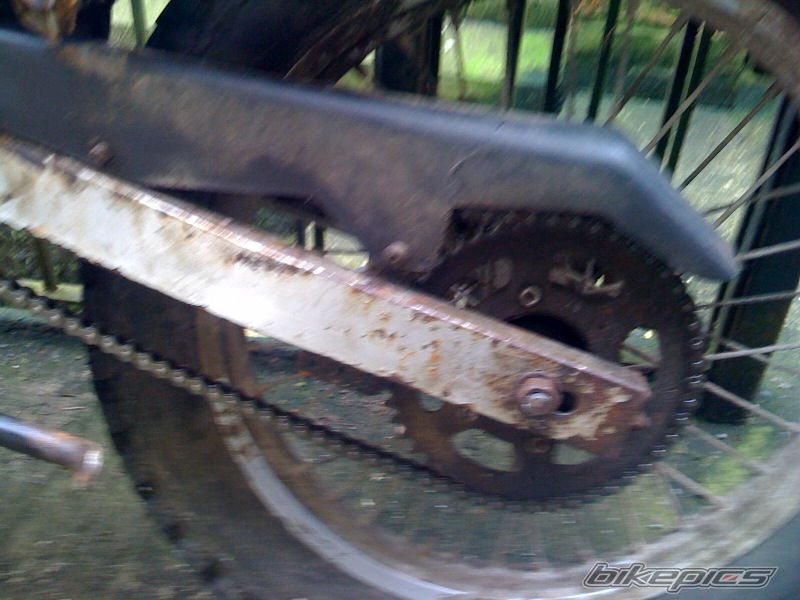 Photo 1596568