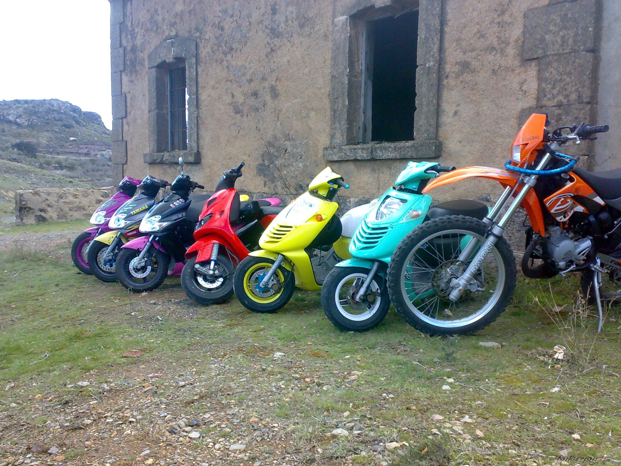 Photo 1596661