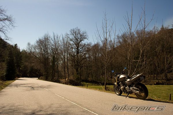 Photo 1596776