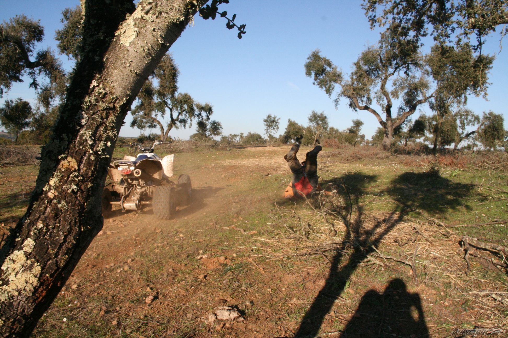 Photo 1596852
