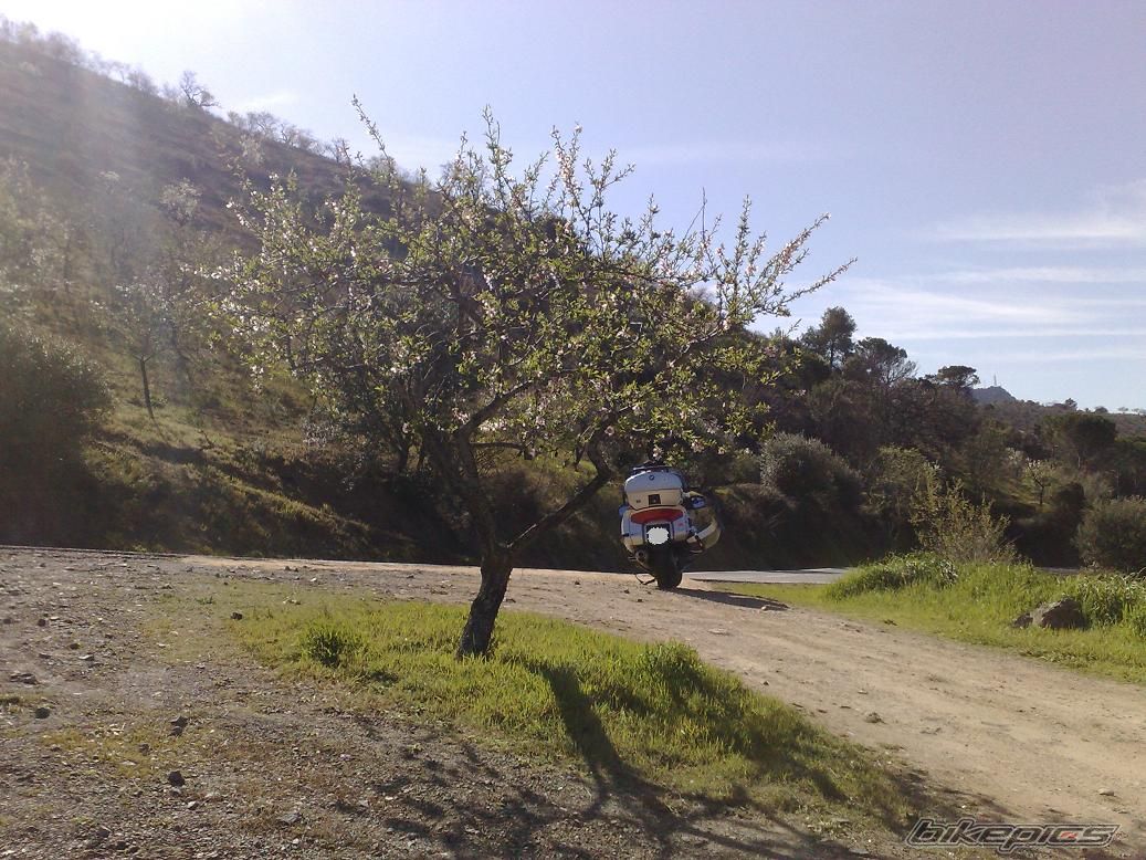 Photo 1596918