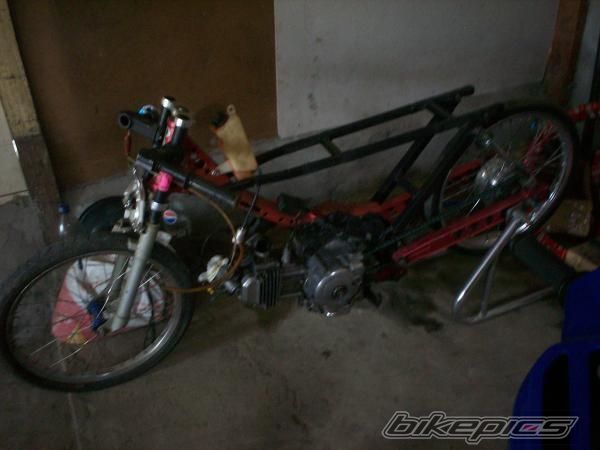 Photo 1597037