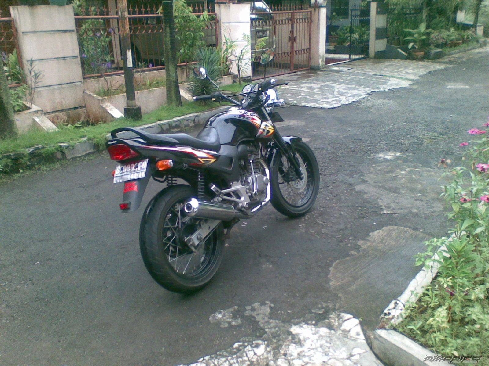 Photo 1597067