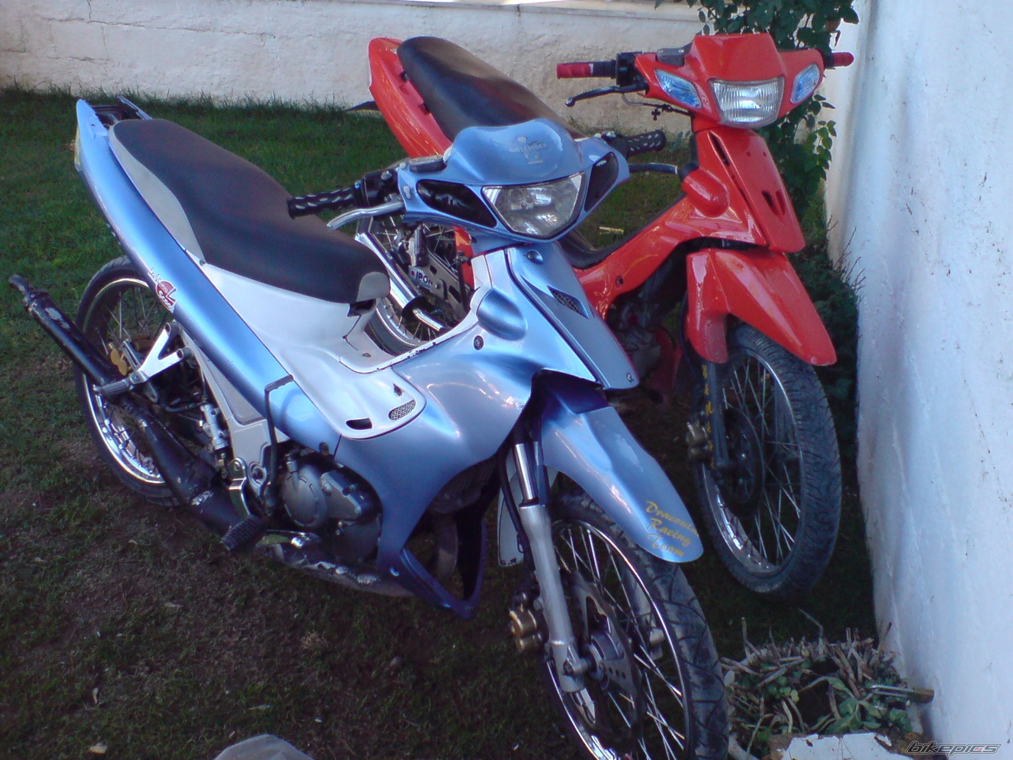 Photo 1597084