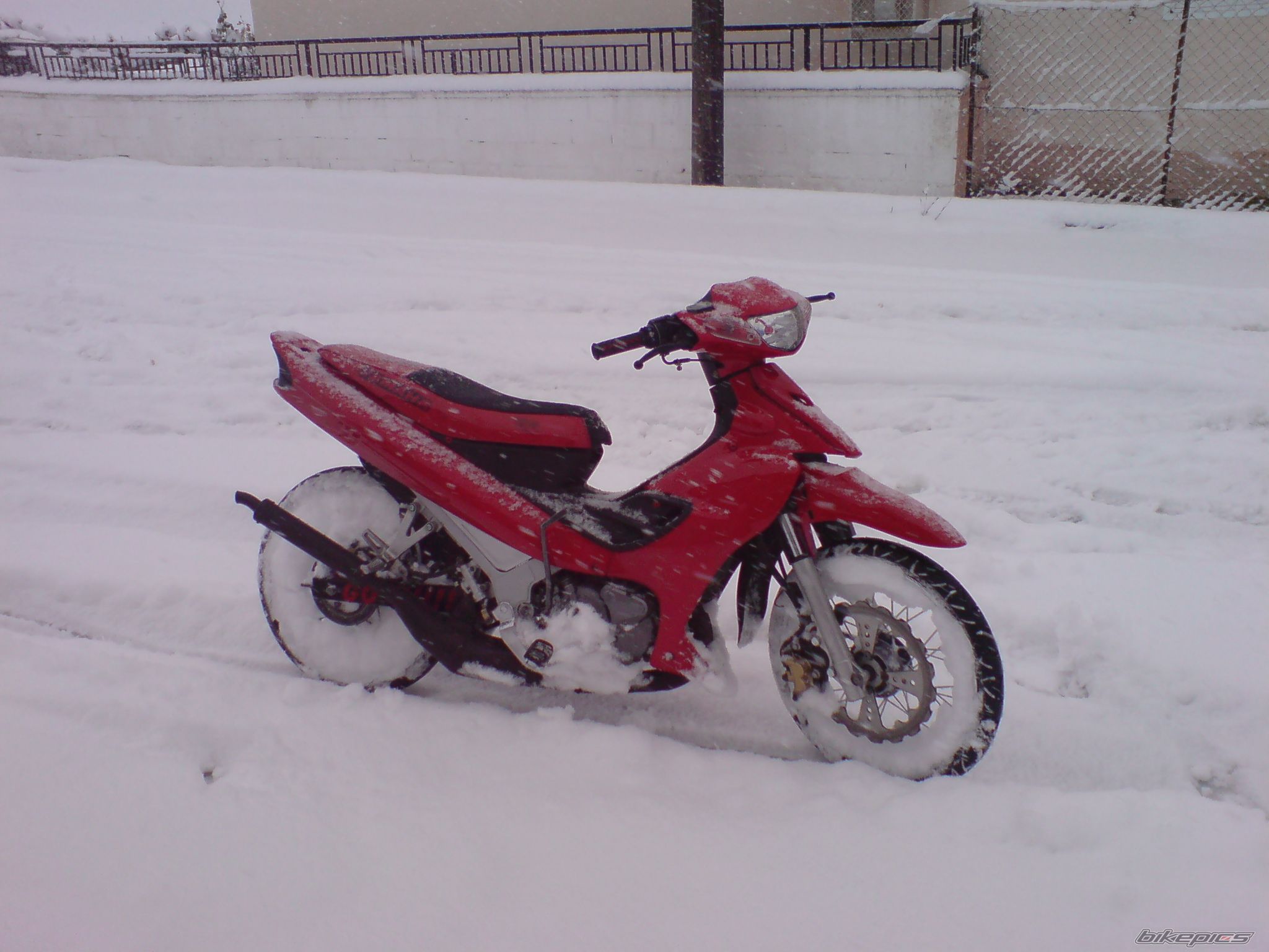 Photo 1597090