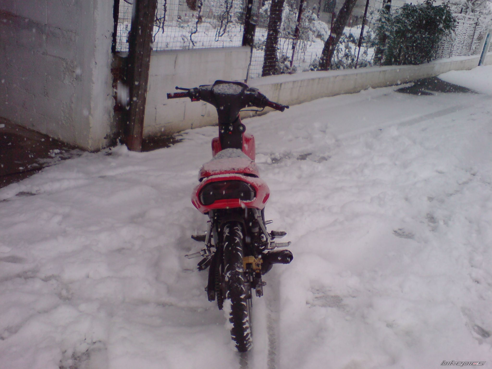 Photo 1597093