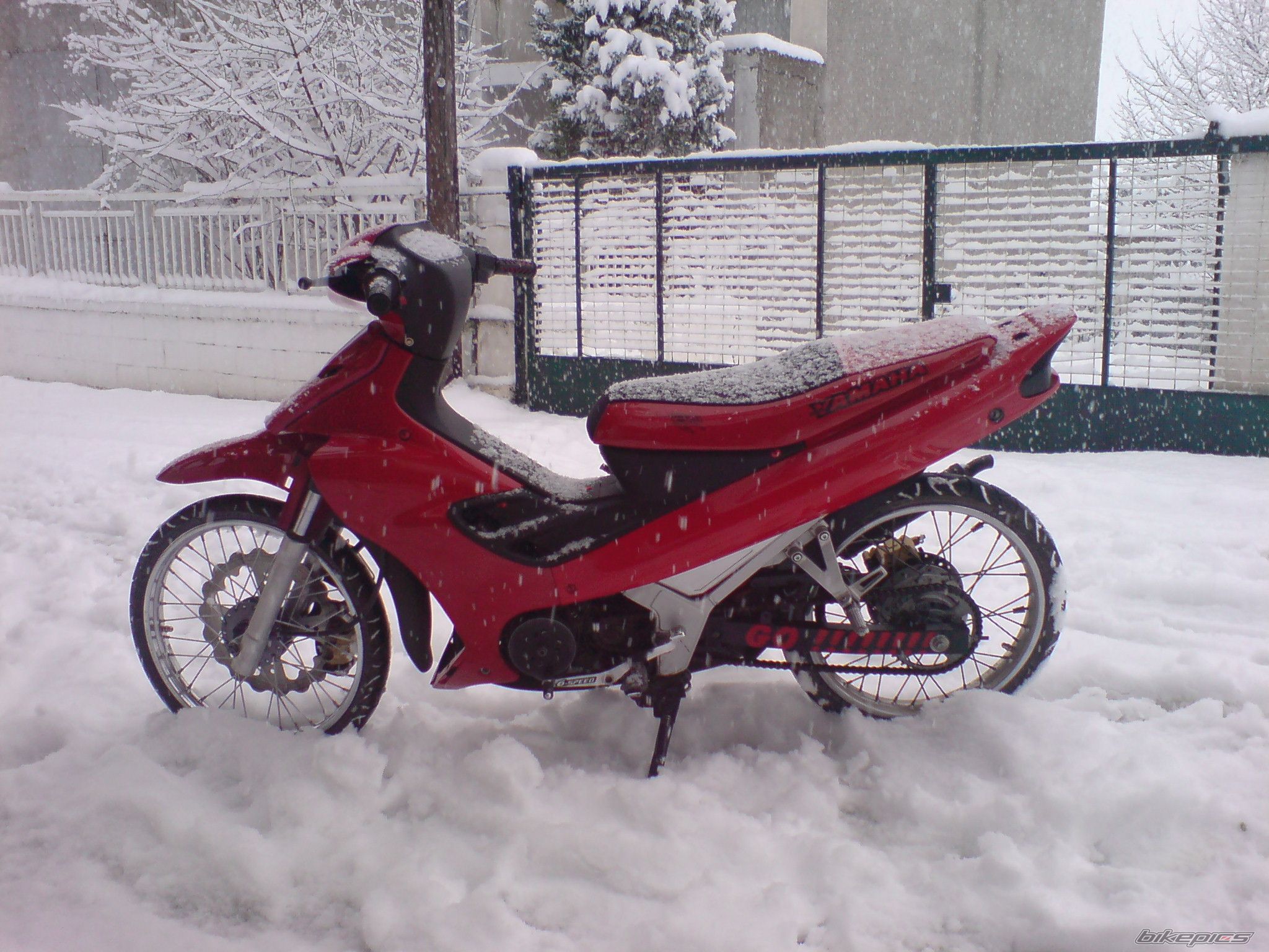 Photo 1597094