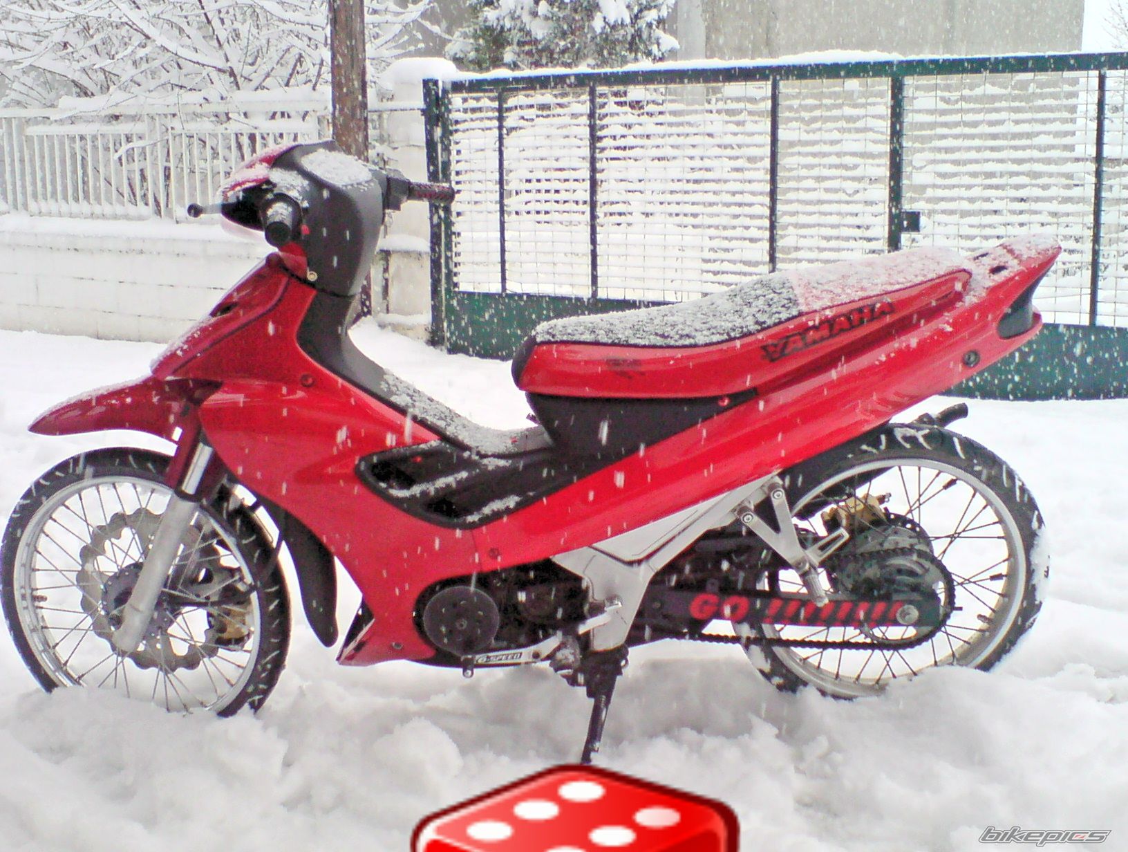 Photo 1597096