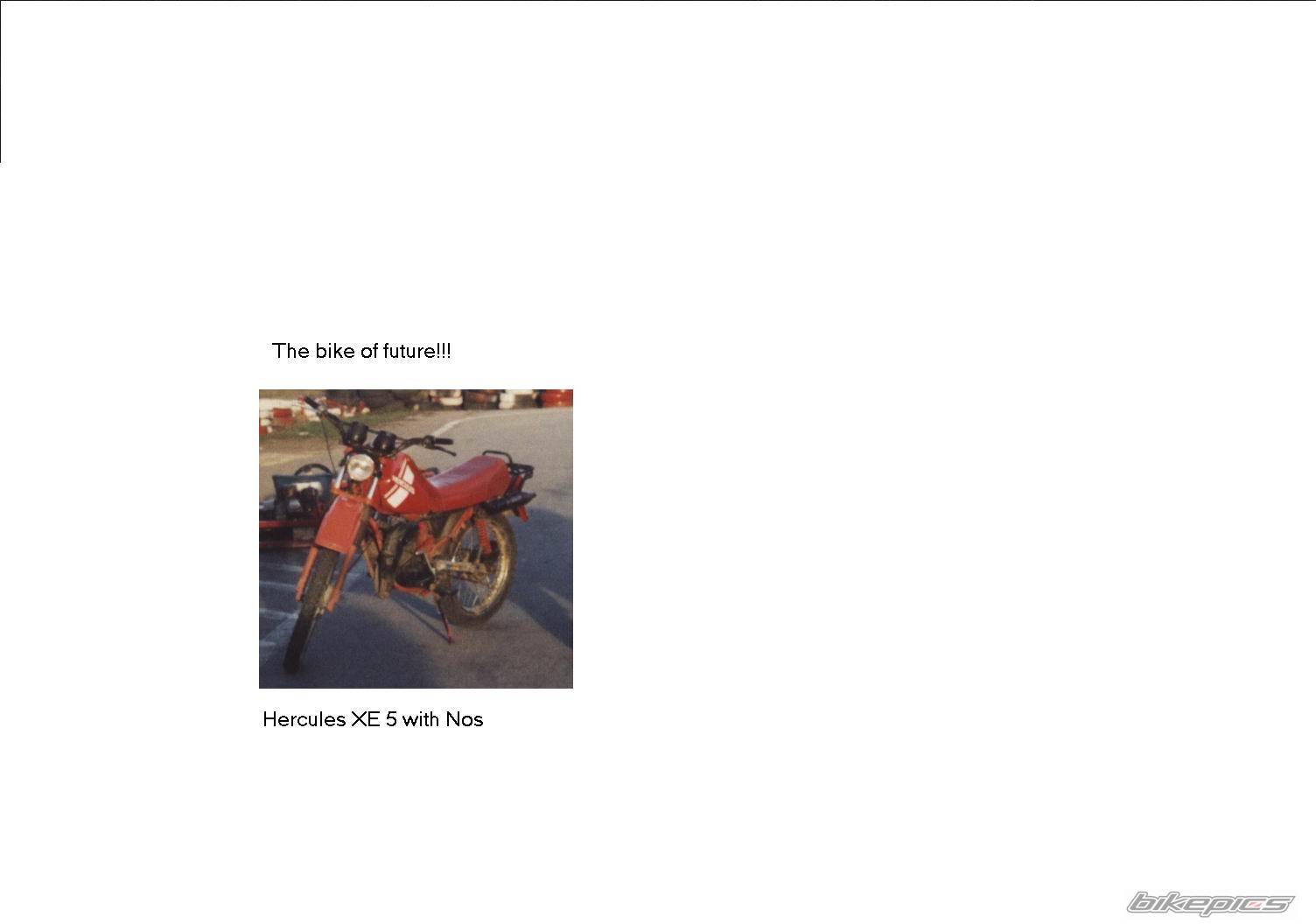 Photo 159729