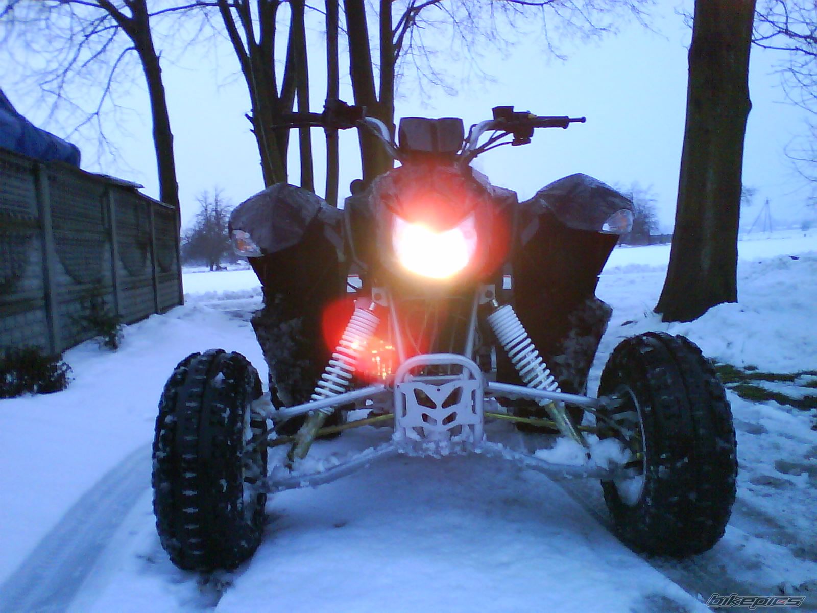 Photo 1597391