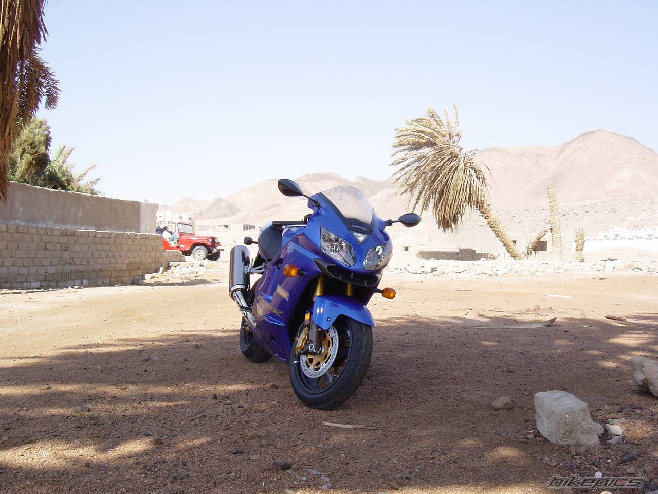 Photo 159740