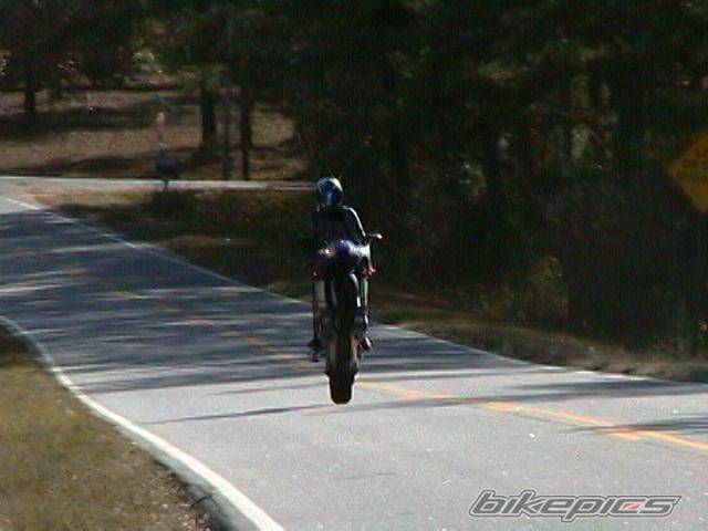 Photo 15975
