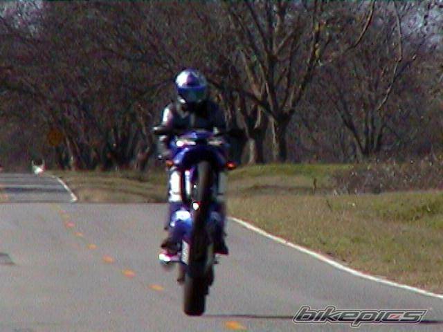Photo 15977