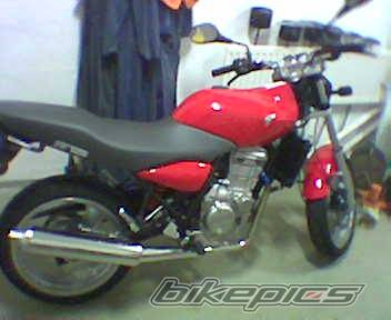 Photo 159778