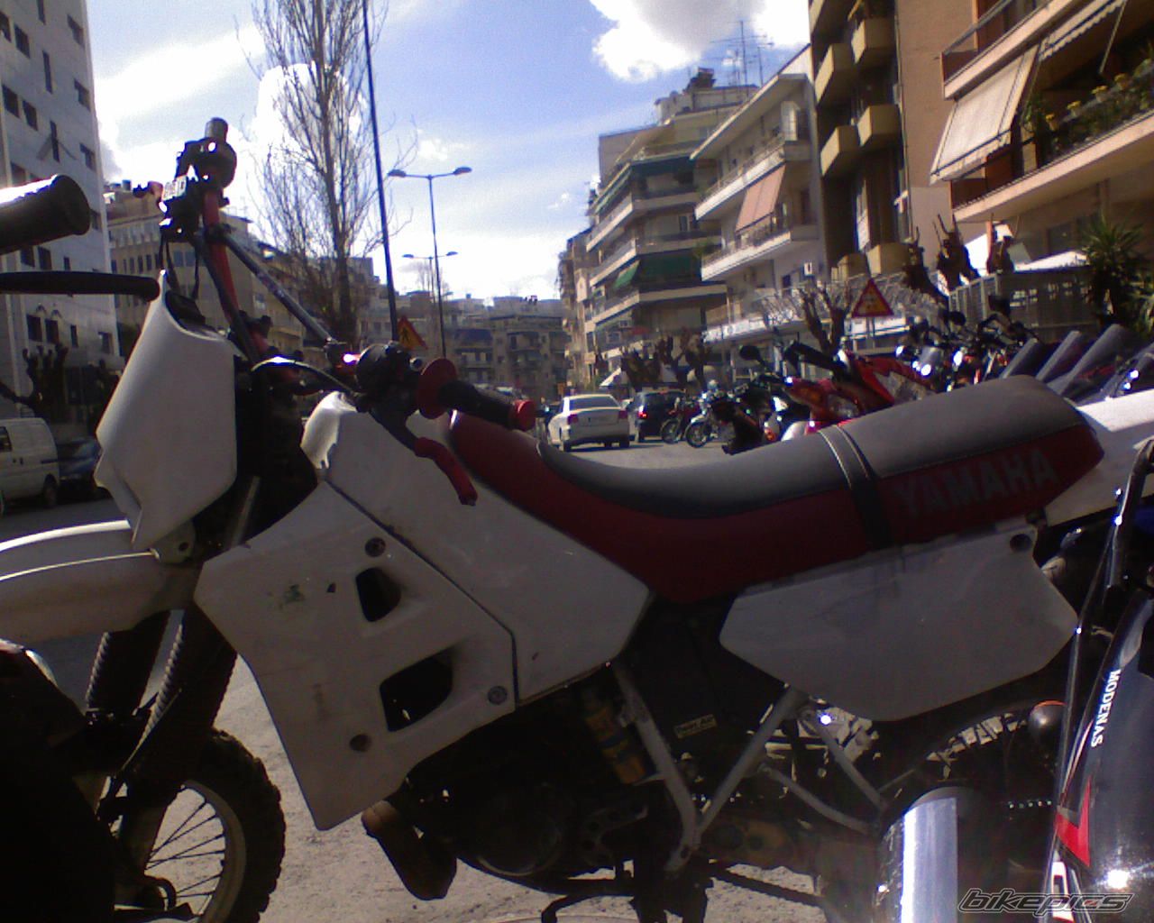 Photo 1597894