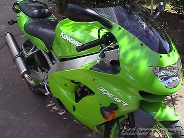 Photo 15981