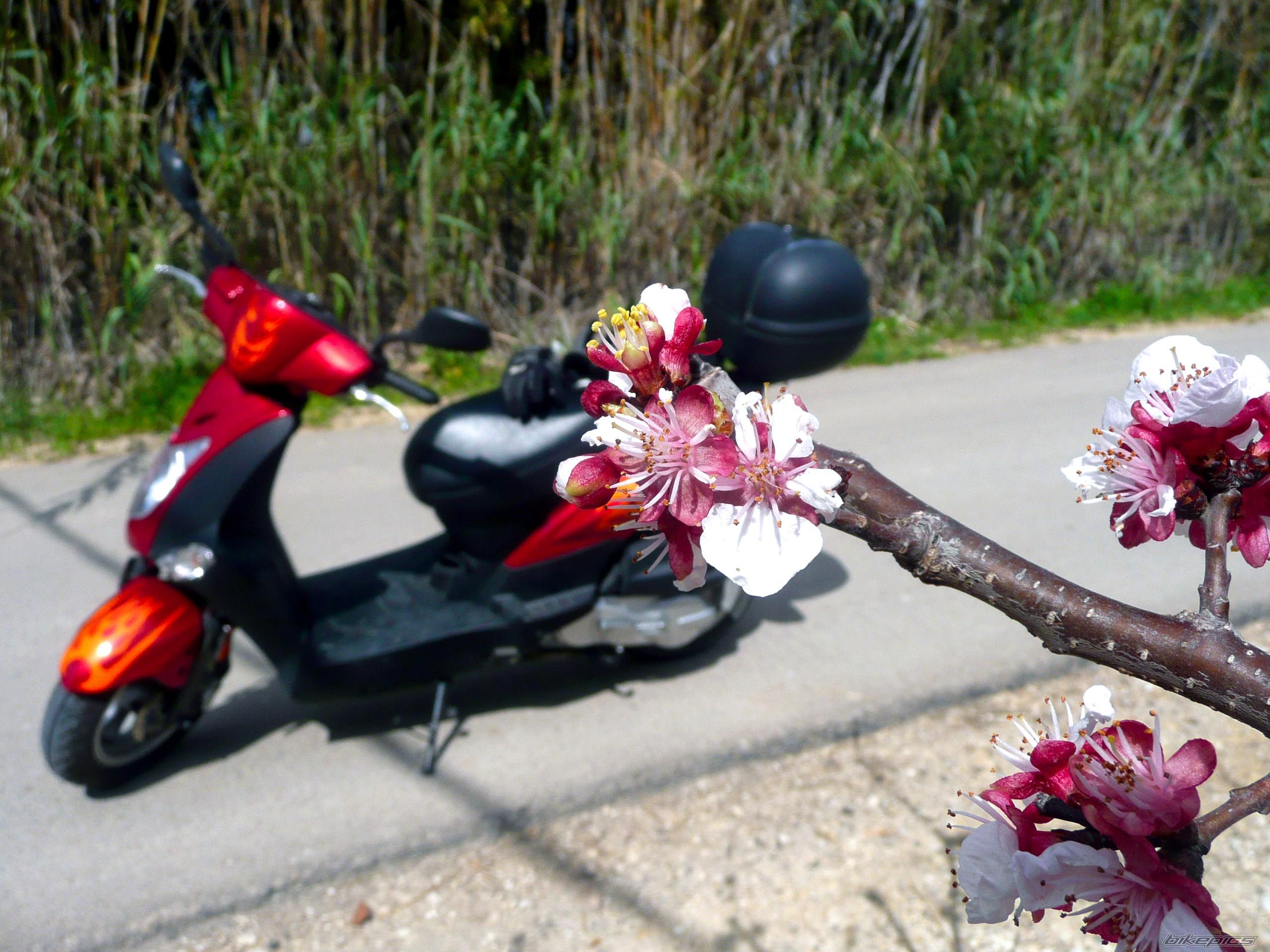 Bike Photo 1598173