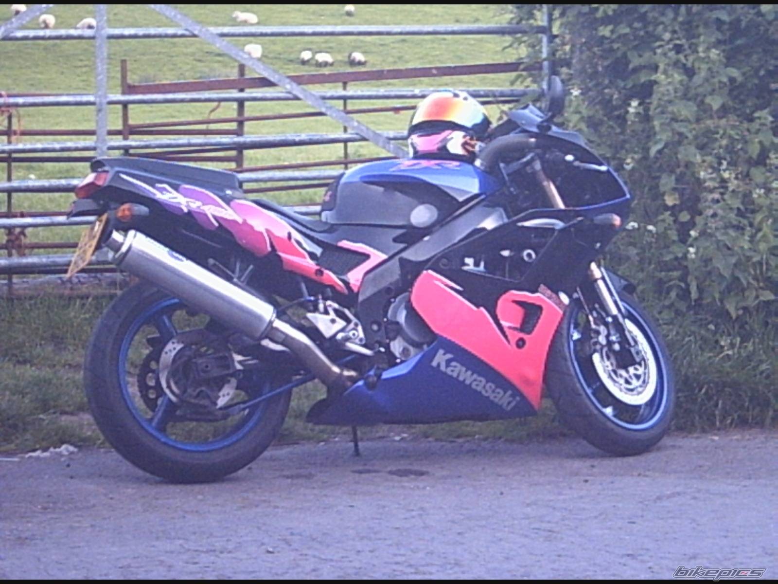 Photo 159829