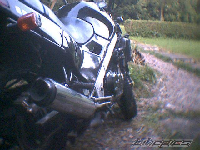 Photo 159832