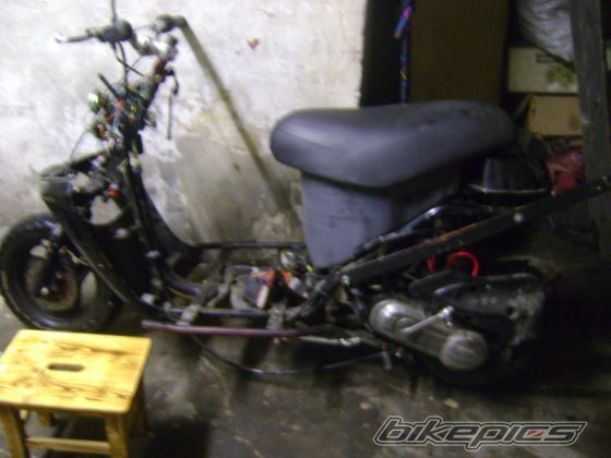Photo 1598353