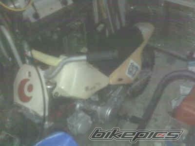 Photo 1598376