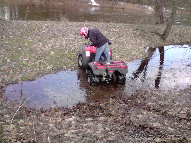 Photo 1598398
