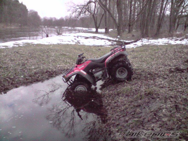 Photo 1598400