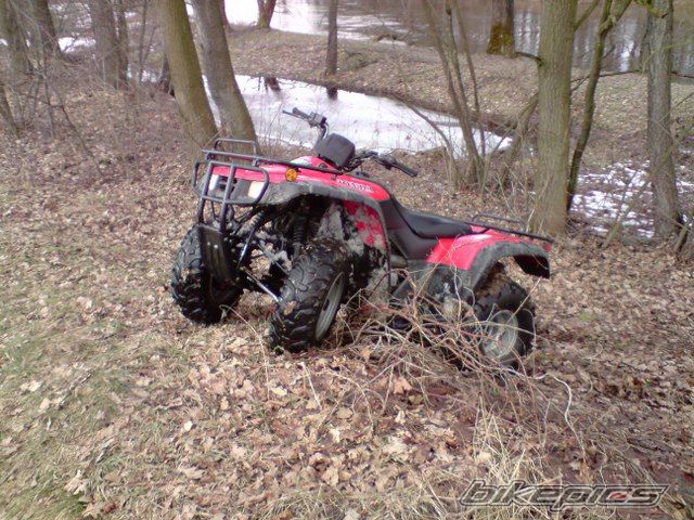 Photo 1598403