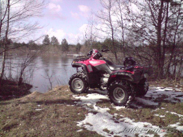 Photo 1598404