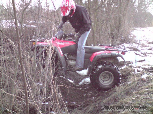 Photo 1598407