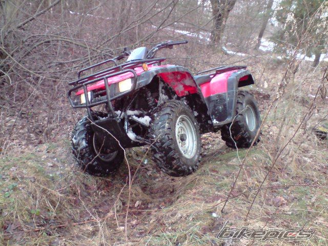 Photo 1598408