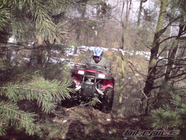 Photo 1598410