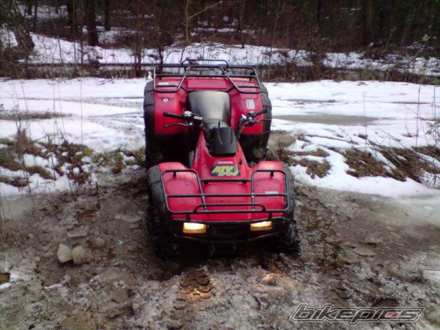 Photo 1598416