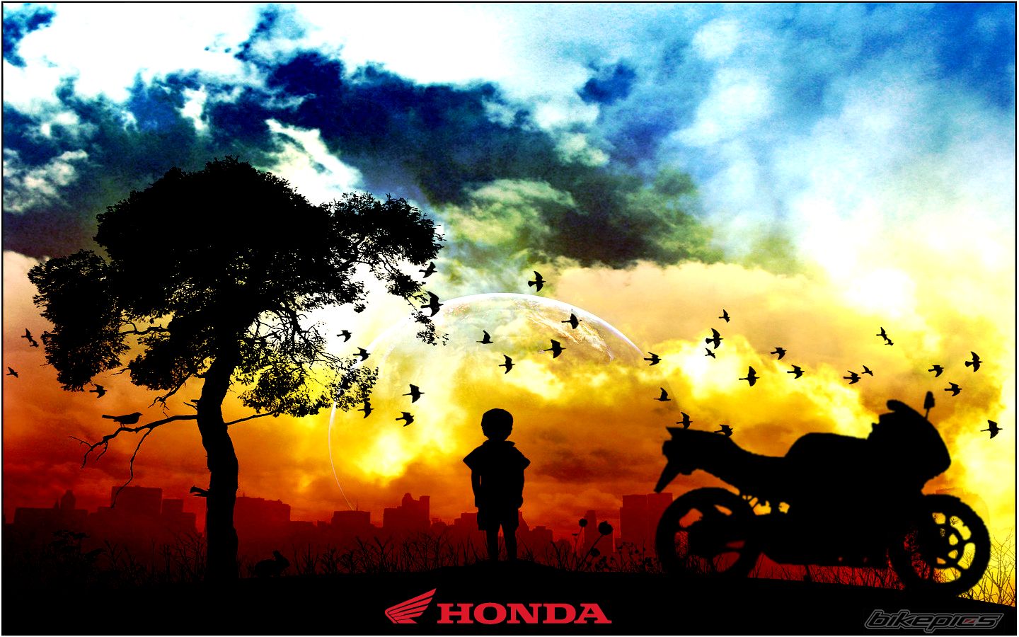 Bike Photo 1598657
