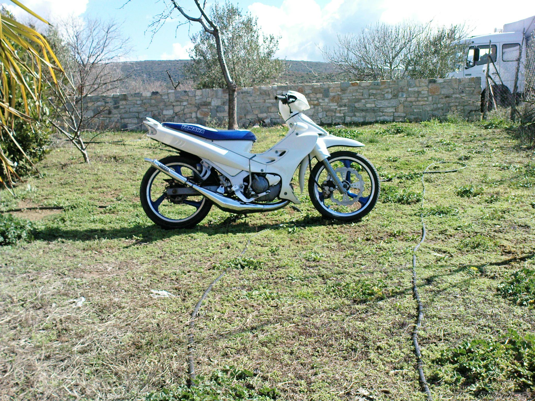 Photo 1598749