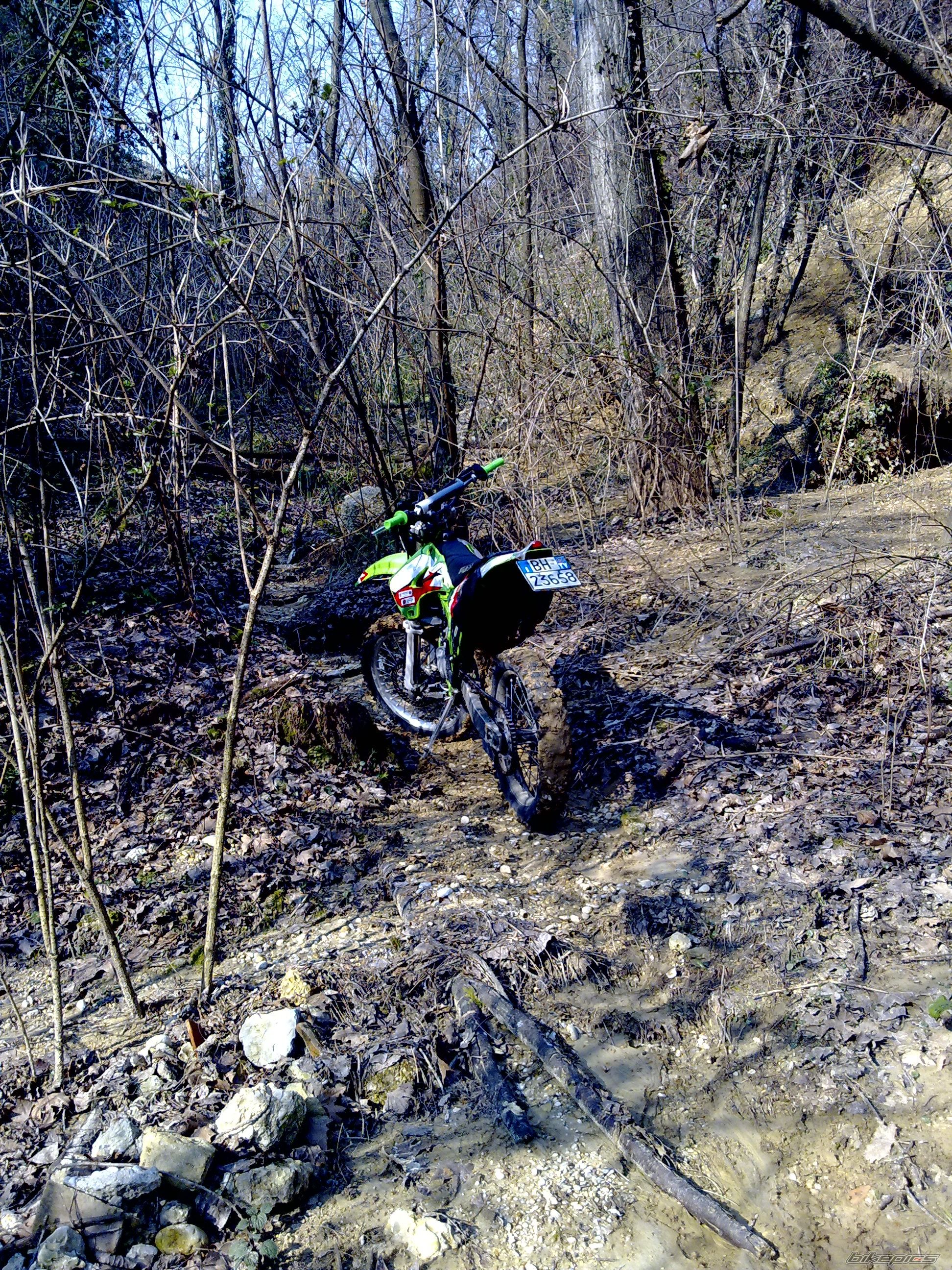 Photo 1598776