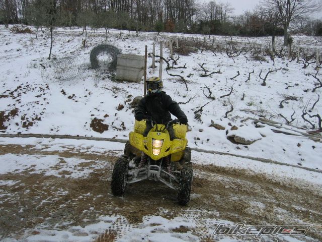 Photo 1598813