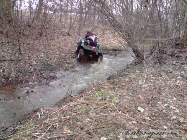 Photo 1598987