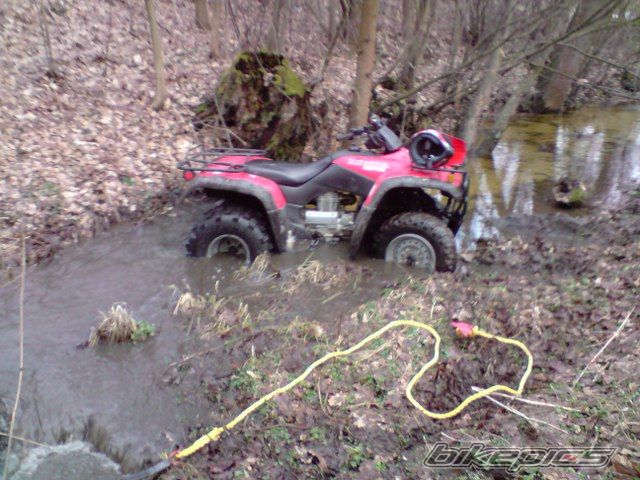 Photo 1598994