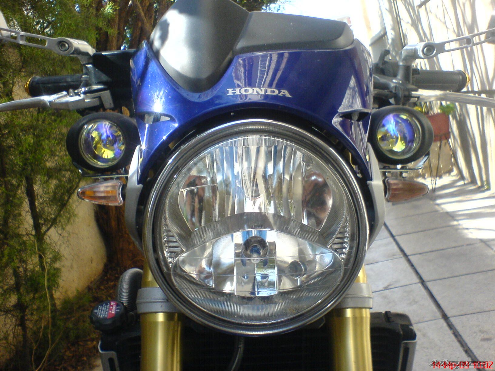 Photo 1599008