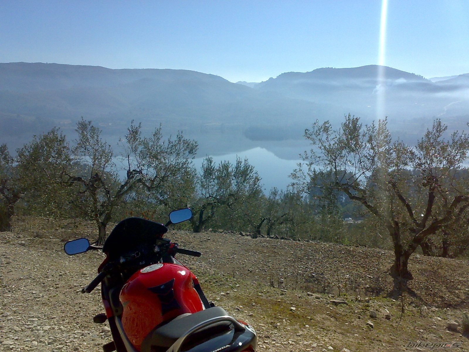 Photo 1599016