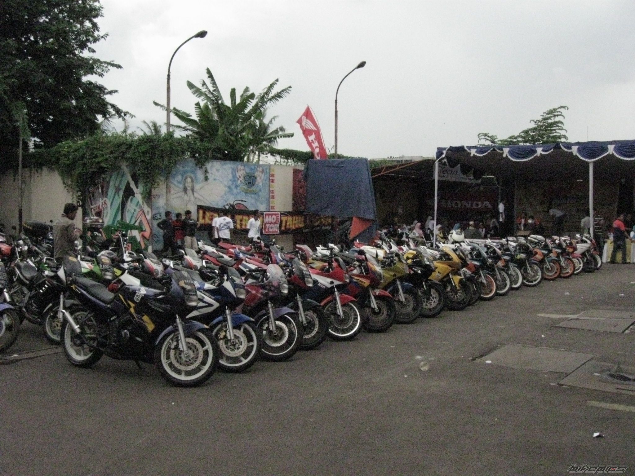 Photo 1599036
