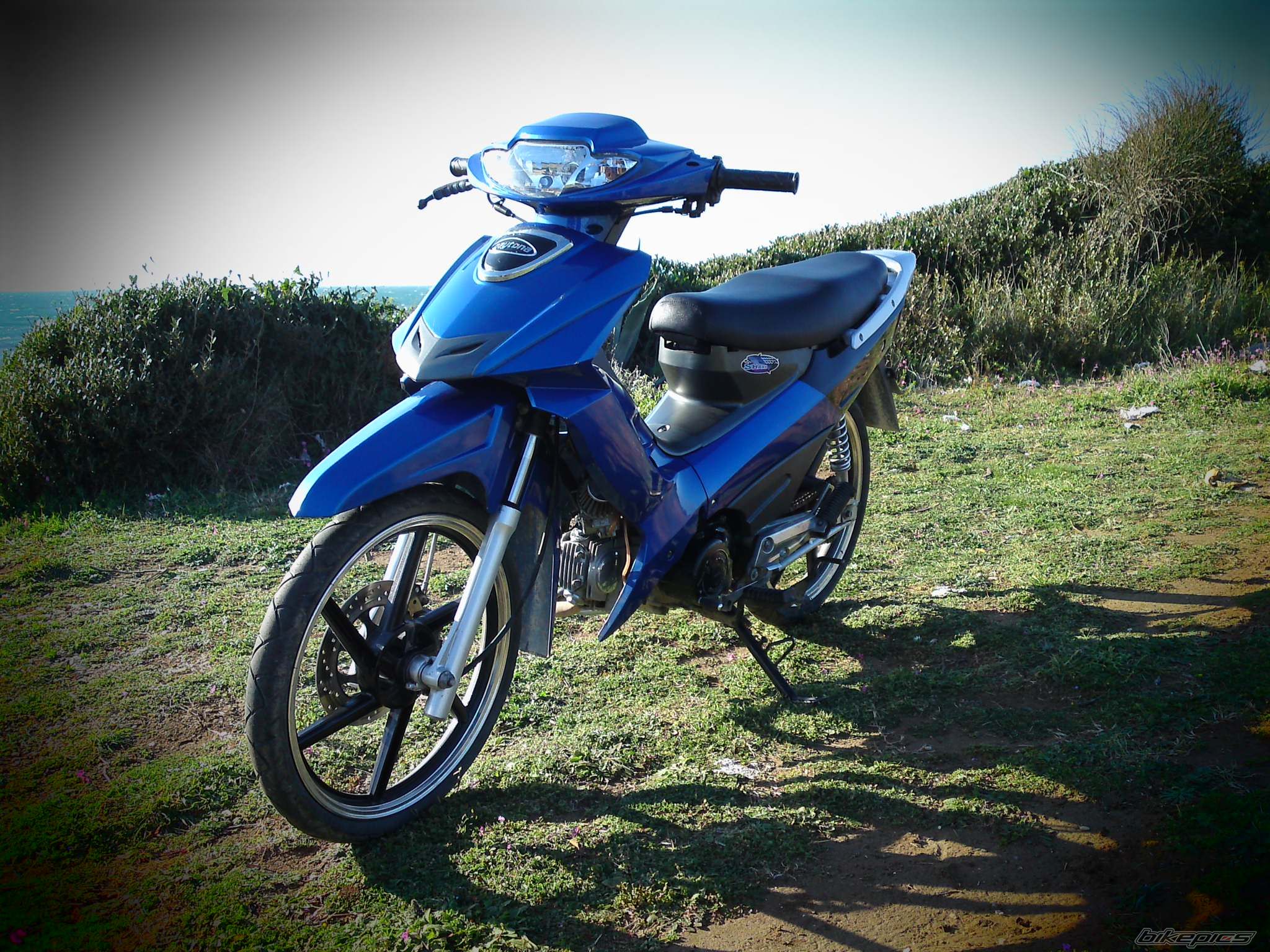Photo 1599081