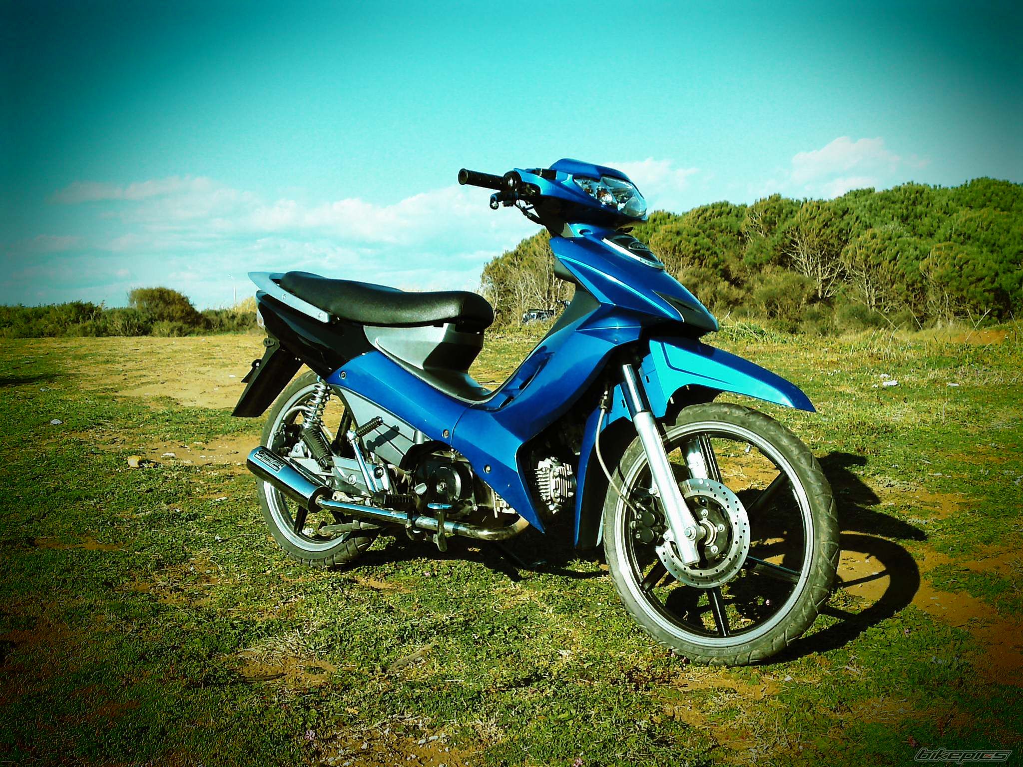 Photo 1599086