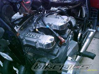 Photo 159909