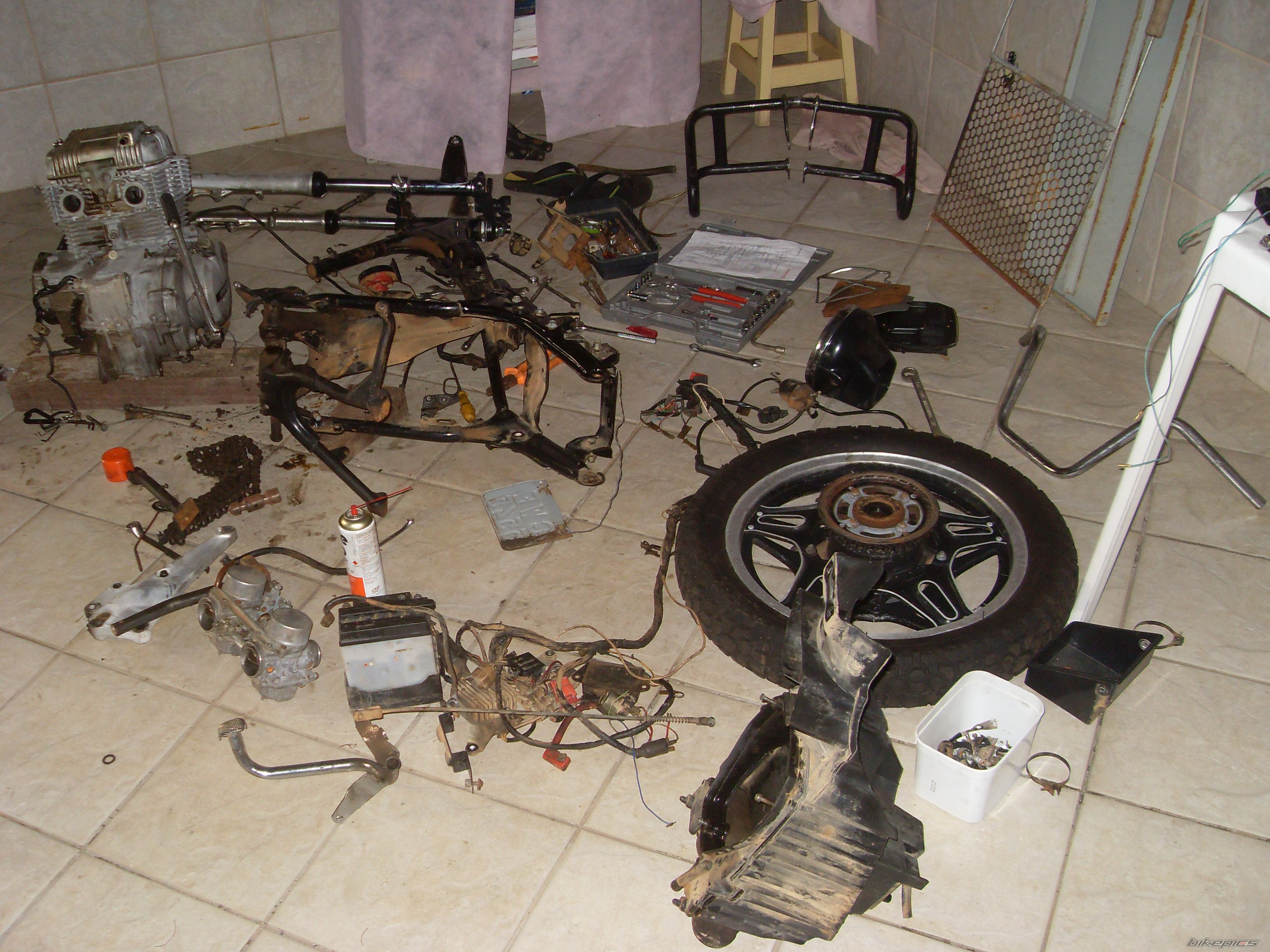 Photo 1599091